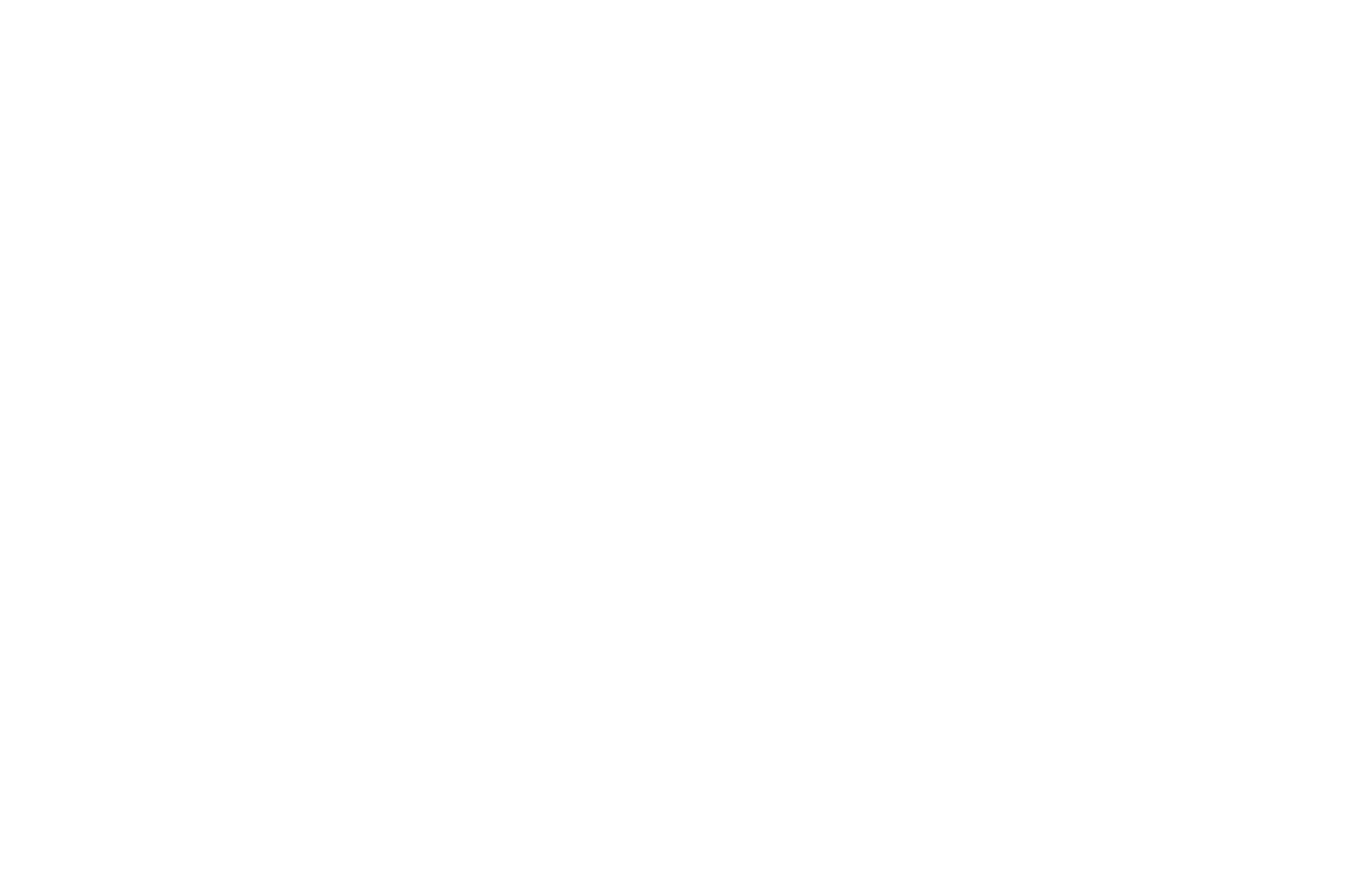 Channel 4 logo white