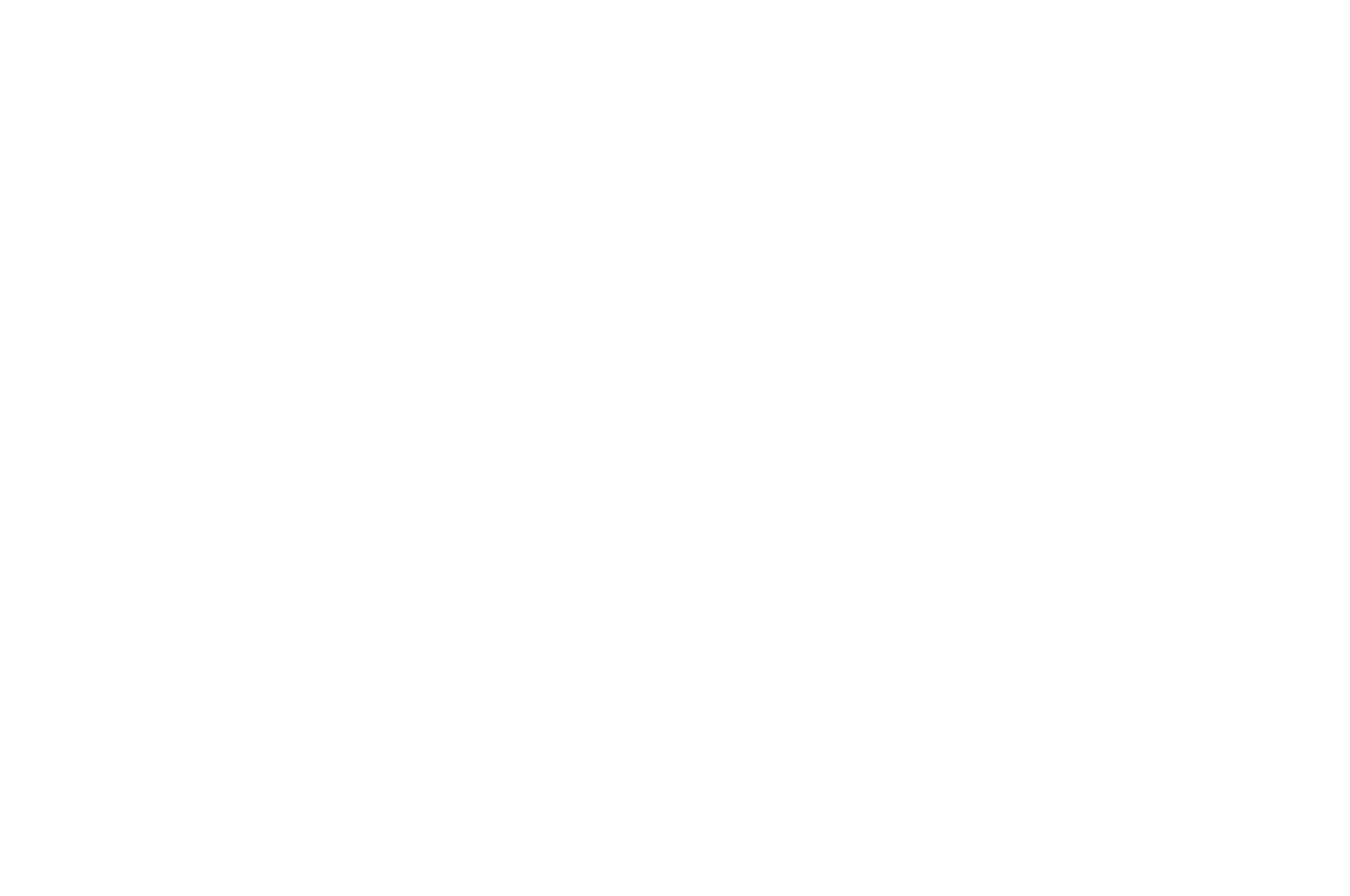 Channel 4 logo white